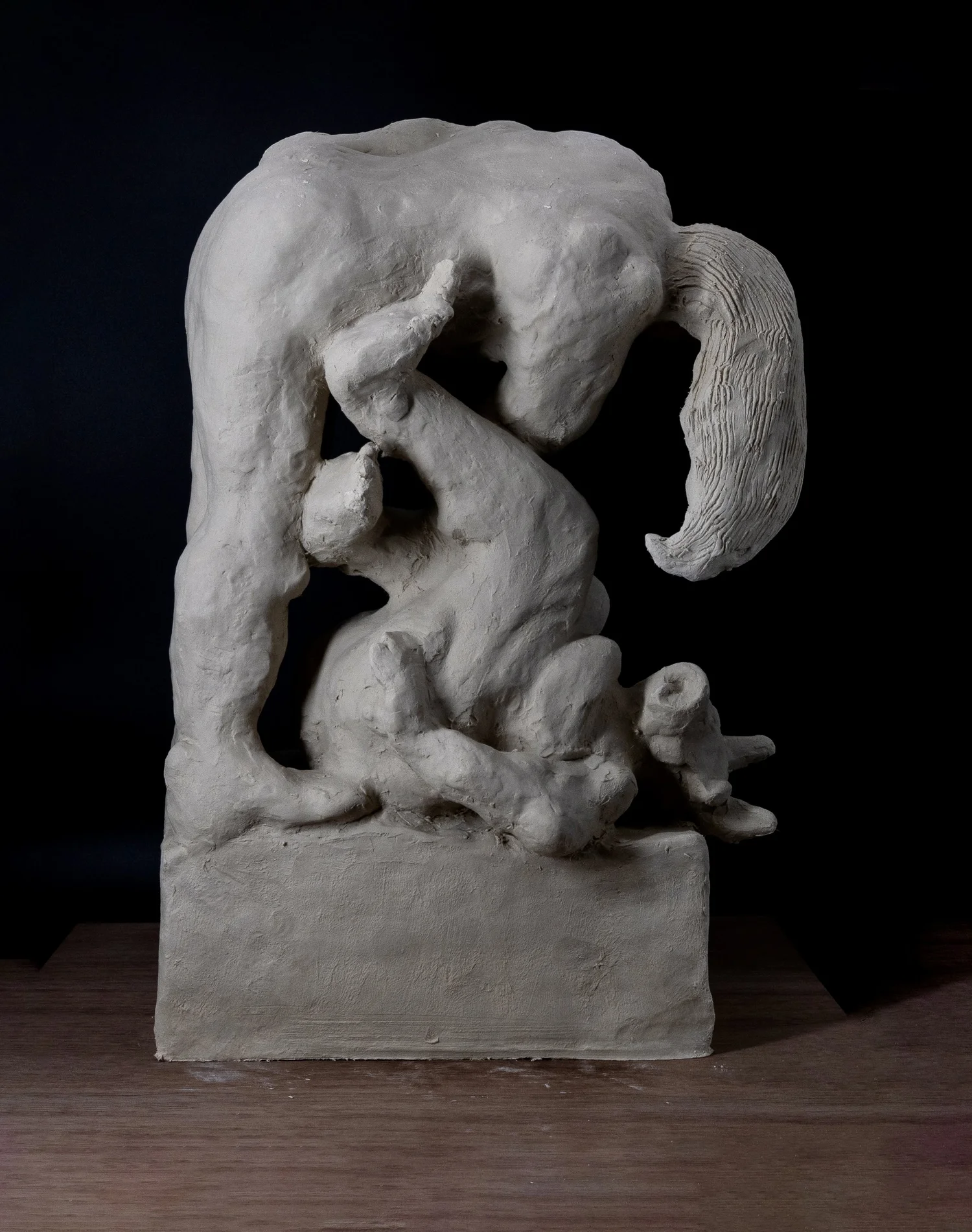 To Train a Minotaur - Rear